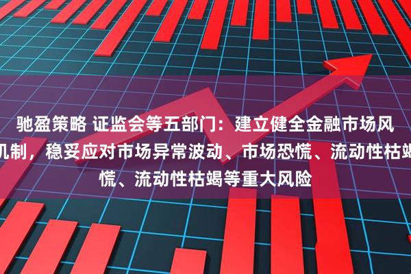 驰盈策略 证监会等五部门：建立健全金融市场风险快速反应机制，稳妥应对市场异常波动、市场恐慌、流动性枯竭等重大风险
