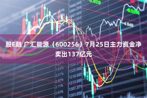 股E融 广汇能源（600256）7月25日主力资金净卖出137亿元
