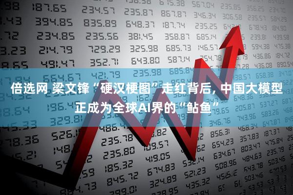 倍选网 梁文锋“硬汉梗图”走红背后, 中国大模型正成为全球AI界的“鲇鱼”